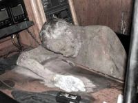 Kayıp yatta mumyalaşmış ceset bulundu