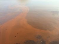 Tekirdağ'da deniz girilemeyecek kadar kirlendi