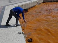 Bandırma'da denizin rengi kızıla dönüştü