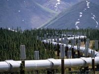 Şırnak Doğalgaz Boru Hattı ihalesi yenilenecek