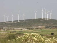 Karaburun’da RES Projes'ine yargı freni!