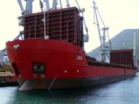 Kerç Boğazı'ndaki köprüye çarpan gemiye 1.76 milyon dolar ceza