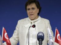 ÇED davalarına yeni düzenleme geliyor