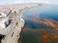 Tekirdağ sahilleri renk değiştirdi, halk huzursuz oldu