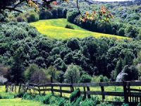 Bilirkişi Heyeti, Polonezköy'ün imara açılmasına "DUR" dedi