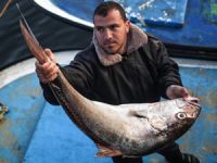 Gazzeli balıkçıların "9 milde" av sevinci