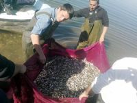 Balıkçılar ağlarını İznik Gölü’ne bırakmaya başladı