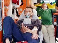 Güllük Körfezi'nde balon balığı iki kişiyi hastanelik etti