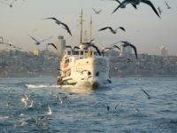 Bu yıl denizyoluna  533 milyon lira yatırım yapılacak