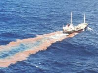 Çevreci pilotlar denizi kirleten gemileri ihbar ediyor