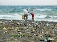 Hatay'da deniz ve sahil temizliği başladı