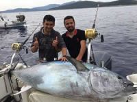 Bodrumlu balıkçılar orkinosla sevindi