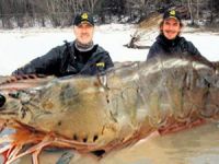 Kanadalı iki kafadar bilim insanlarını bile kandırdılar!