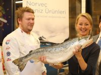 Türkiye’de 1960 yılından bu yana 25 tür balığın nesli tükendi