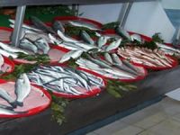 Tezgahta deniz balıkları fiyatıyla el yakıyor