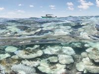 Dünyadaki fosil rezervleri yakınca 10 derece ısınacağız