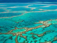 Küresel ısınma Büyük Bariyer Resifi’ni de vurdu!