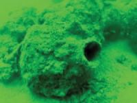 Marmara Denizi'nde antik kent bulundu