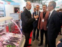 Su ürünleri sektörü, Amerika pazarını büyütmeyi hedefliyor