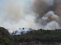 Şehitliklerin bulunduğu Gelibolu'da yangın! Plajlar boşaltılıyor