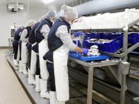 İhracat lideri Sagun, Urla’da yeni işleme tesisini hizmete açtı