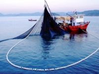 Su ürünleri avcılığı ile ilgili yeni düzenleme Resmi Gazete'de yayımlandı