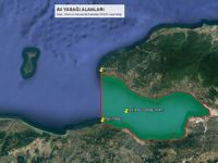 Gemlik Körfezi'nde 2016 ile 2020 yılları arasında avlanmak yasaklandı