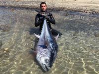 Zıpkınla 130 kiloluk orkinos avladı