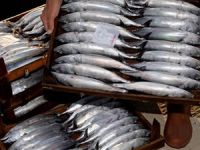 'Yıllık kişi başı balık tüketimi 15 kilo olmalı'