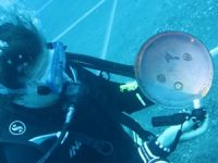 Adrasan'daki batıktan 12'nci yüzyıl yemek tabağı takımları çıktı