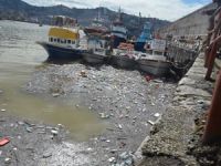 Şiddetli yağış sonrası Zonguldak Limanı çöple doldu