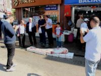 Devasa boyutta yayın balığı yakalandı