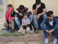 Fethiye'de 59 kaçak yakalandı