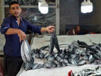 İzmir Balık Hali'nde palamut bolluğu, satışları 14 kat artırdı