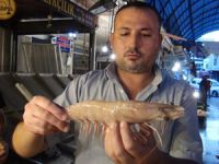 Akdeniz'de ilk kez görülen dev karides, büyük ilgi çekti