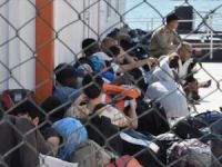 Kırklareli'nde 62 kaçak göçmen yakalandı