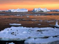 Ross Denizi için anlaşmaya varıldı