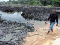 Nijerya Deltası'ndaki kirlilik tarımı ve balıkçılığı engelliyor