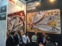 Dubai’de Türk çipurası ve levreği ziyafeti yaşandı