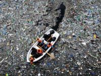 Deniz mahsulü diye plastik yiyoruz