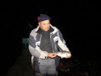 Baraj ve göller 'İsrail sazanı' tehdidi yaşıyor