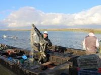 Manyas Gölü'nde balık bolluğu yaşanıyor