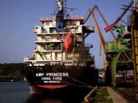 Asia Maritime Pacific, Sono Shipping ile birleşti