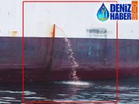 Karaya oturarak deniz kirliliğine neden olan M/V LADY TUNA, sabıkalı çıktı