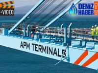 APM Terminals Mumbai, DPD hizmetine geçti