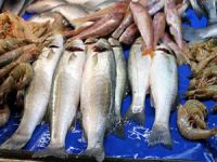 Su ürünleri ihracatı 793 milyon 879 bin dolara yükseldi