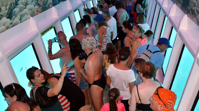 1-ic-010.jpg 1-ic-010.jpg