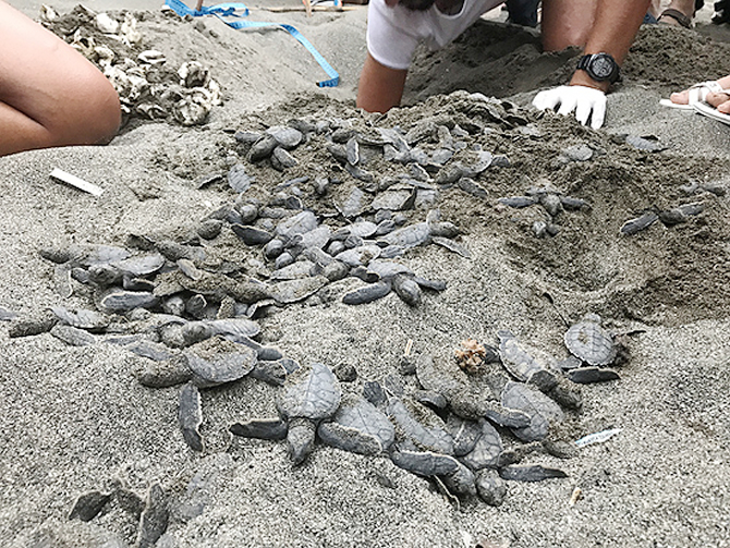 1-ic-036.jpg 1-ic-036.jpg