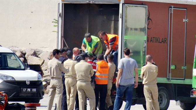 10-010.jpg 10-010.jpg