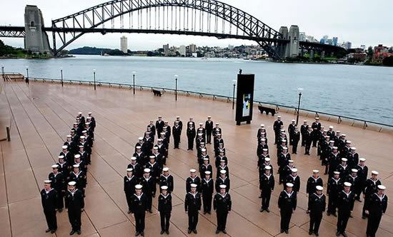 100_navy.jpg